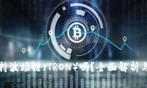 TP钱包支持波场链（TRON）吗？全面解析与使用指南