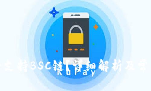 TP钱包是否支持BSC链？详细解析及常见问题解答
