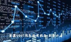 苹果USDT钱包使用指南：新