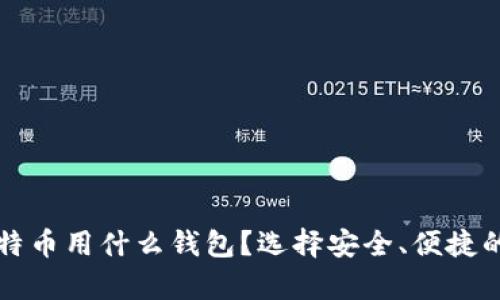 长期存比特币用什么钱包？选择安全、便捷的钱包方案