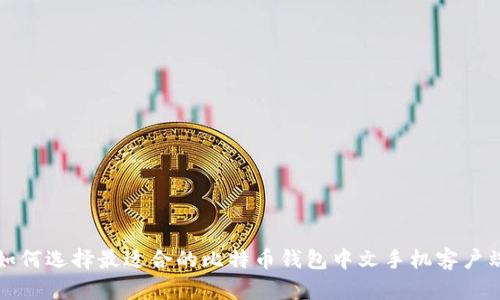 如何选择最适合的比特币钱包中文手机客户端