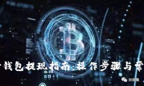 比特币极付钱包提现指南：操作步骤与常见问题解析