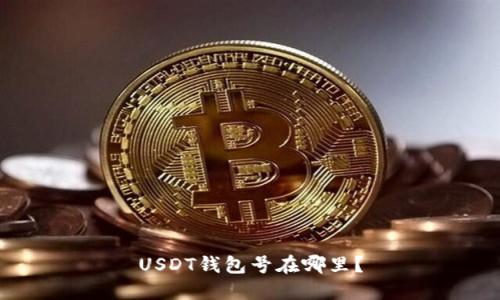 USDT钱包号在哪里？
