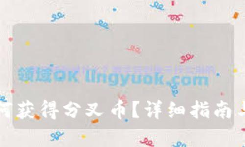 比特币钱包如何获得分叉币？详细指南与常见问题解答