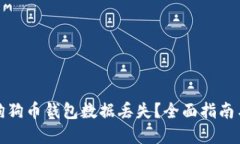 如何应对狗狗币钱包数据