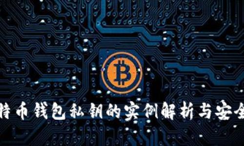 : 比特币钱包私钥的实例解析与安全指南