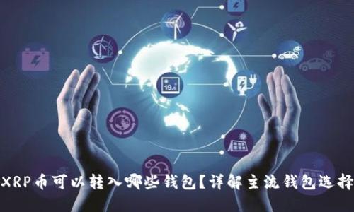 XRP币可以转入哪些钱包？详解主流钱包选择