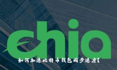 如何加速比特币钱包同步