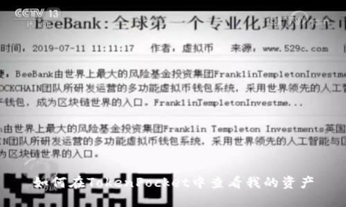 如何在TokenPocket中查看我的资产