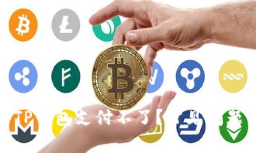 : 什么人用TP钱包支付不了？常见问题与解决方案