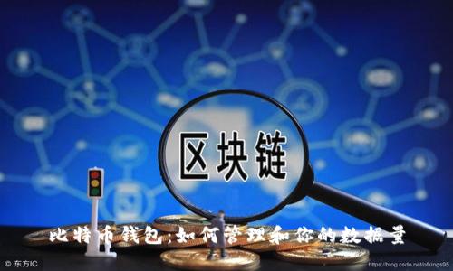 比特币钱包：如何管理和你的数据量