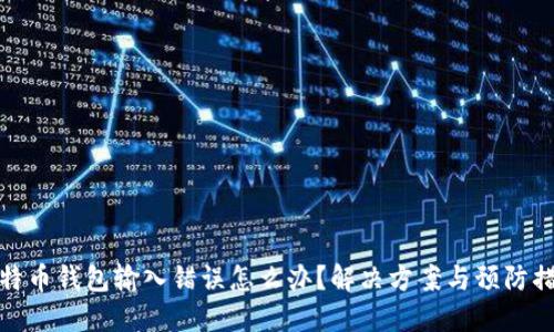 比特币钱包输入错误怎么办？解决方案与预防措施