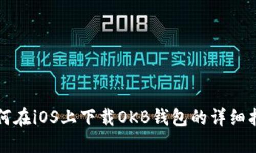 如何在iOS上下载OKB钱包的详细指南