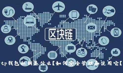 tp钱包私钥是什么？如何安全管理和使用它？