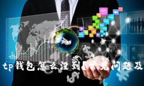 core提币tp钱包怎么没到？常见问题及解决方案