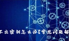 xrp冷钱包导不出密钥怎么