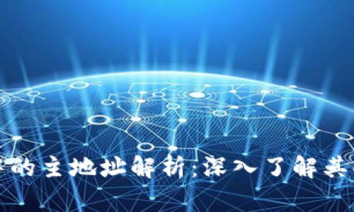 比特币钱包中的主地址解析：深入了解其功能与重要性