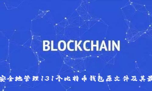 : 如何安全地管理131个比特币钱包原文件及其最佳实践