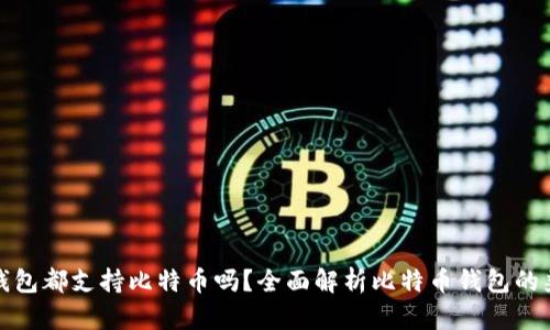 所有钱包都支持比特币吗？全面解析比特币钱包的兼容性