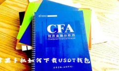 苹果手机如何下载USDT钱包