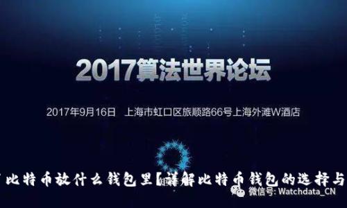 买了比特币放什么钱包里？详解比特币钱包的选择与使用