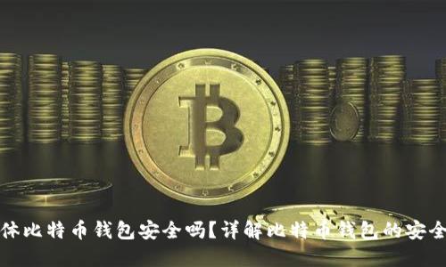 实体比特币钱包安全吗？详解比特币钱包的安全性