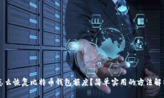怎么恢复比特币钱包额度