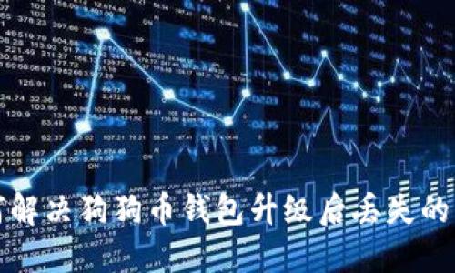如何解决狗狗币钱包升级后丢失的问题
