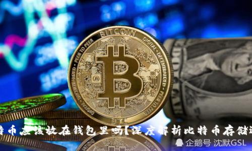 比特币应该放在钱包里吗？深度解析比特币存储选择