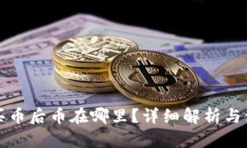 TP钱包买币后币在哪里？详细解析与使用指南