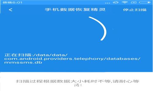 如何查看TP钱包的地址