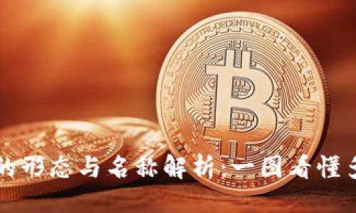 与关键词

比特币钱包的形态与名称解析：一图看懂多种钱包类型