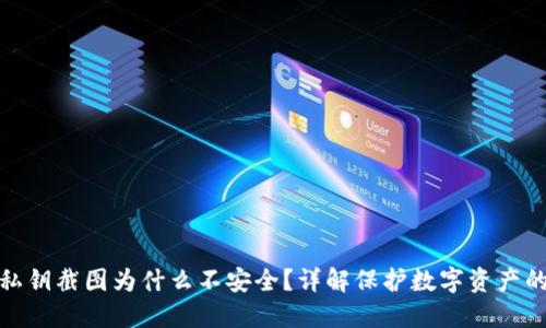 TP钱包私钥截图为什么不安全？详解保护数字资产的必要性