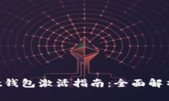 TokenPocket钱包激活指南：全