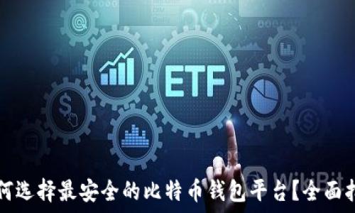   
如何选择最安全的比特币钱包平台？全面指南