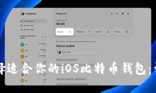 如何选择适合你的iOS比特币钱包：详尽指南