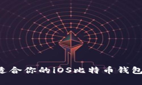 如何选择适合你的iOS比特币钱包：详尽指南