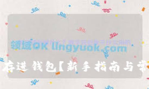比特币怎么存进钱包？新手指南与常见问题解答