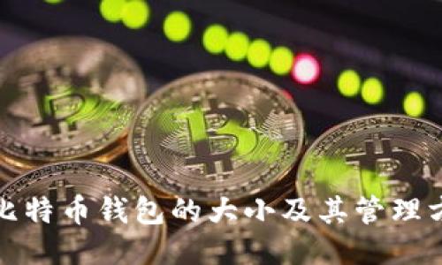 : 比特币钱包的大小及其管理方法