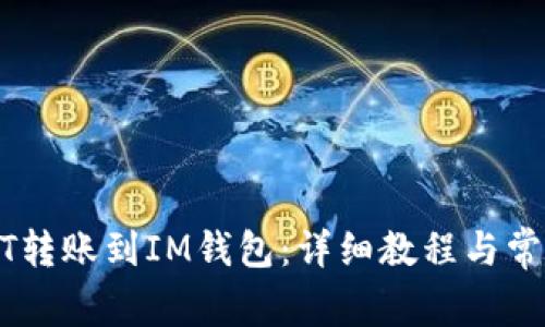 如何将USDT转账到IM钱包：详细教程与常见问题解答
