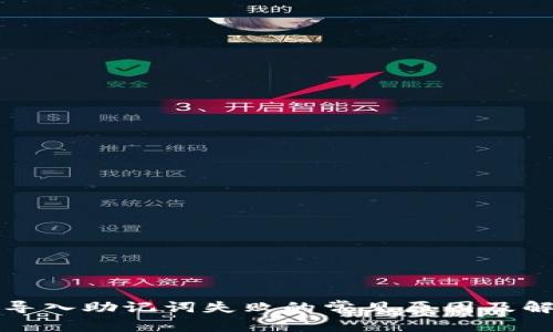 TP钱包导入助记词失败的常见原因及解决方法