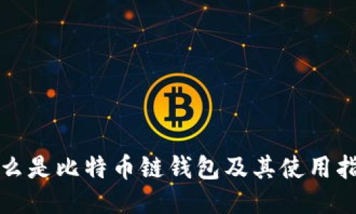 什么是比特币链钱包及其使用指南