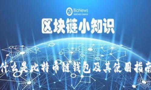 什么是比特币链钱包及其使用指南