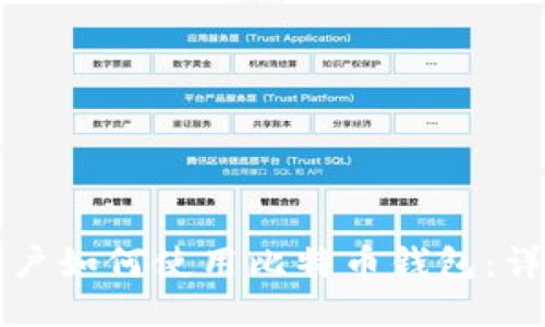 大陆用户如何使用比特币钱包：详细指南