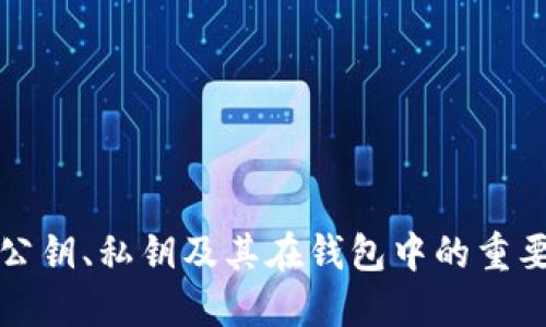 比特币公钥、私钥及其在钱包中的重要性详解