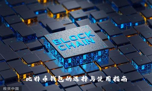 比特币钱包的选择与使用指南