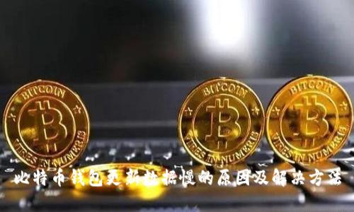 比特币钱包更新数据慢的原因及解决方法
