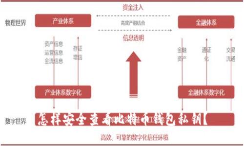 怎样安全查看比特币钱包私钥？