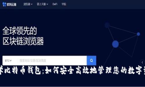 初学比特币钱包：如何安全高效地管理您的数字资产