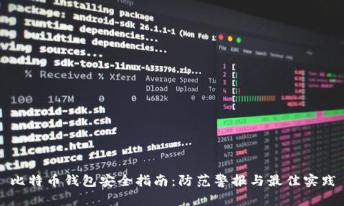 比特币钱包安全指南：防范警报与最佳实践